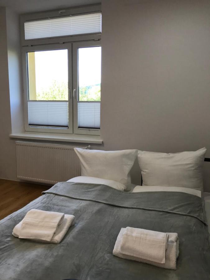 Cristal Apartament Krynica - Zdroj Eksteriør billede