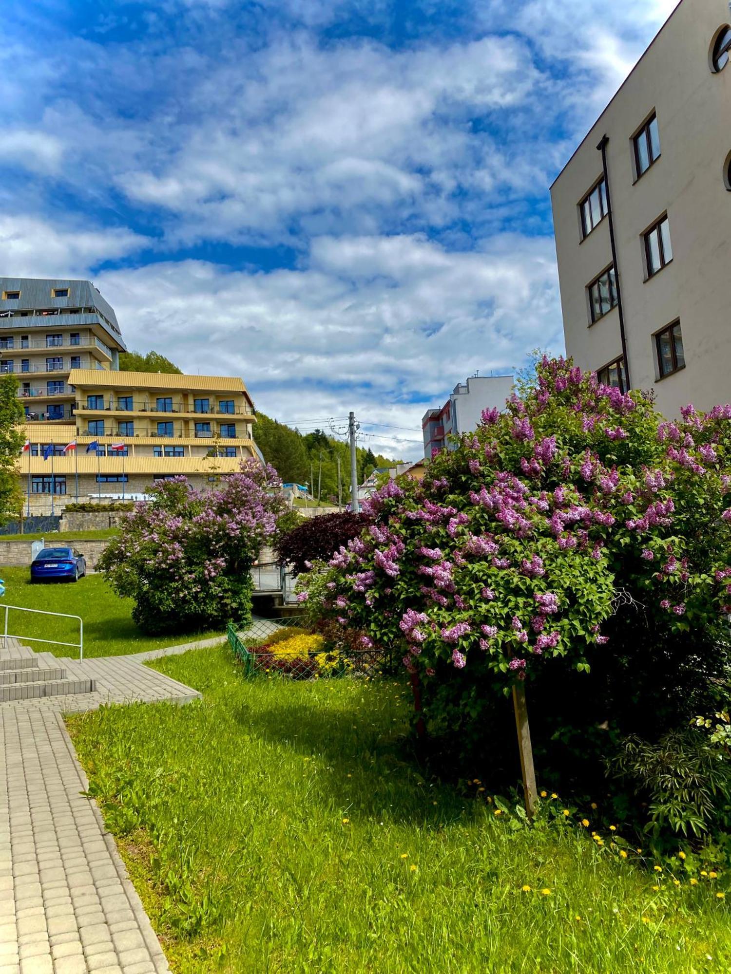 Cristal Apartament Krynica - Zdroj Eksteriør billede